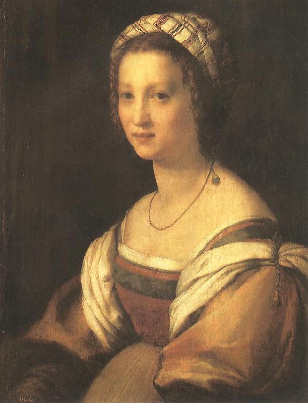 Andrea del Sarto Portrait of the Artist's Wife oil painting image